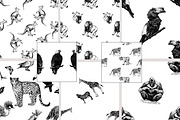 Animals, an Animal Illustration by Ecaterina Sciuchina (Thumbnail 5 of 5)