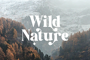 Golden Radiant - Modern Serif Font, a Serif Font by Pen Culture (Thumbnail 5 of 12)