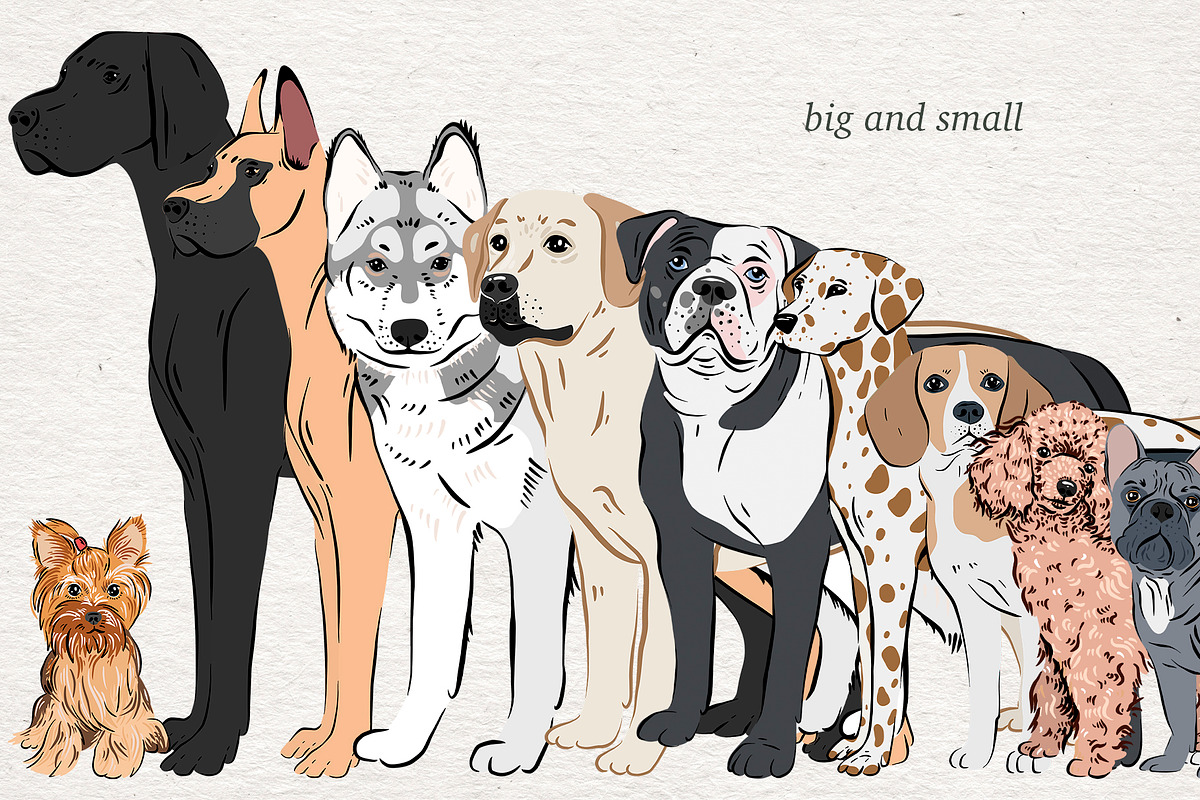 Dog Lover - big collection, an Animal Illustration by Alina Sh (Photo 6 of 10)