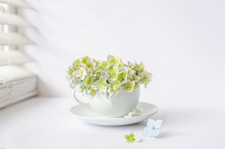 White teacup with flowers containing stock photo, styled stock photo, and, an Arts & Entertainment Photo by Tina Thelen Photography