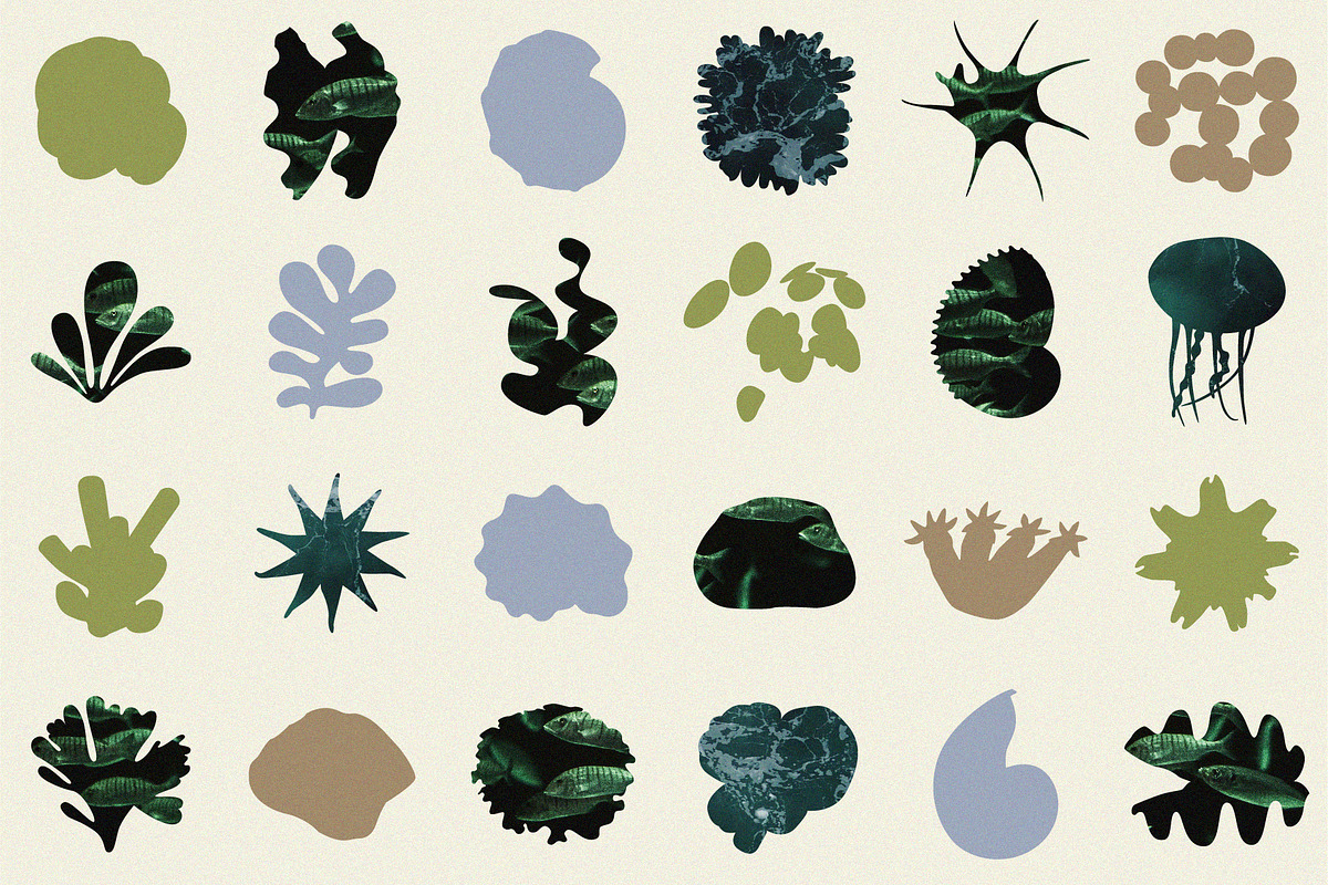Ocean's Treasure 24 Shapes & Masks, an Object Graphic by line & plane (Photo 9 of 10)