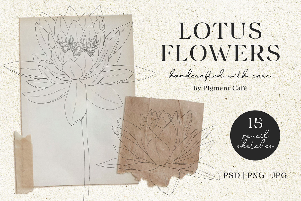 Lotus Blooms & Floral Arrangements, an Illustration by Pigment Café (Photo 1 of 3)