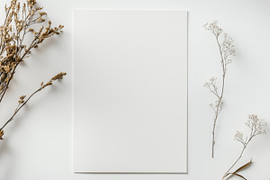 Blank paper with dried floral branch, a Background Photo by MistyDay