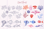 Hand-Drawn Marine Clipart & Patterns, a Decorative Illustration by CapriceMeDesigns (Thumbnail 3 of 21)