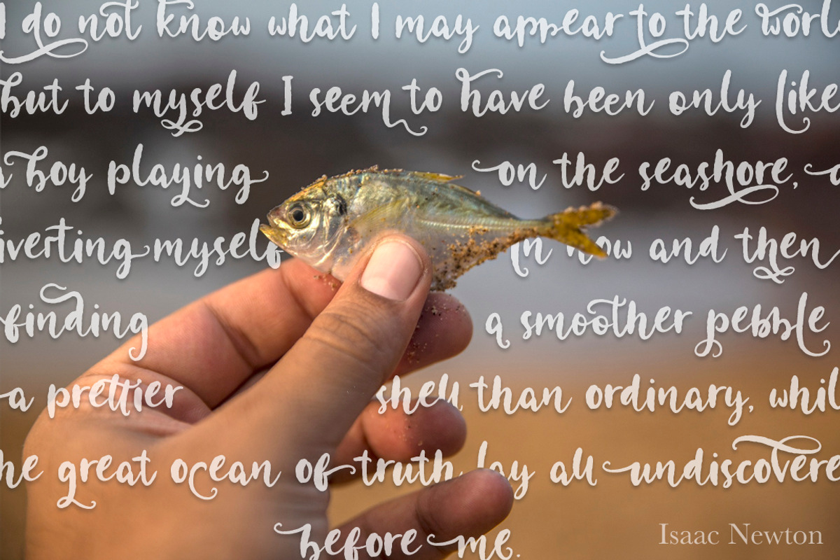 Coral waves. Font and clip arts. preview 2