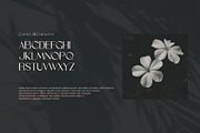 Convo, a Font by riotama85 (Thumbnail 3 of 5)