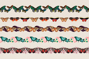 Butterfly Brushes & Patterns