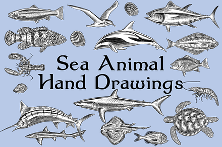 Hand Drawn Fish and Sea Animals, an Animal Illustration by Abysm Internal