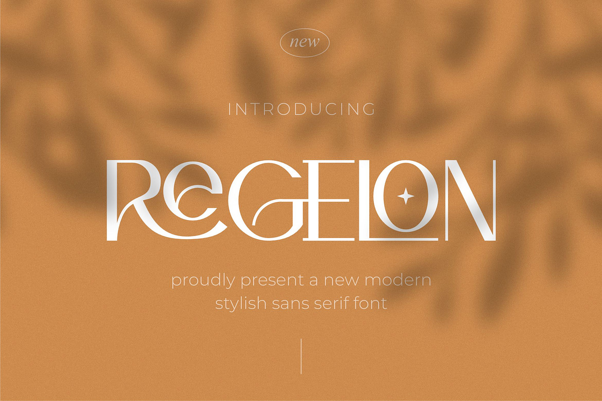Regelon || Modern Stylish Sans Serif, a Serif Font by Idea Studio (Photo 1 of 7)