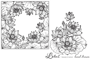 Hand Drawn Graphic Lotus Flowers