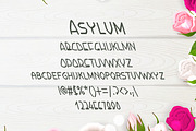 Asylum Summer Font, a Handwritten Font by DmDesignsStoreArt (Thumbnail 2 of 2)
