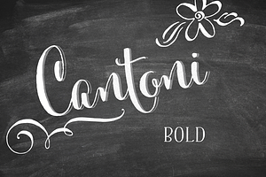 Cantoni Bold Font