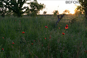 5 Dark tones presets for Lightroom, a Preset Add-On by Elijah (Thumbnail 10 of 16)