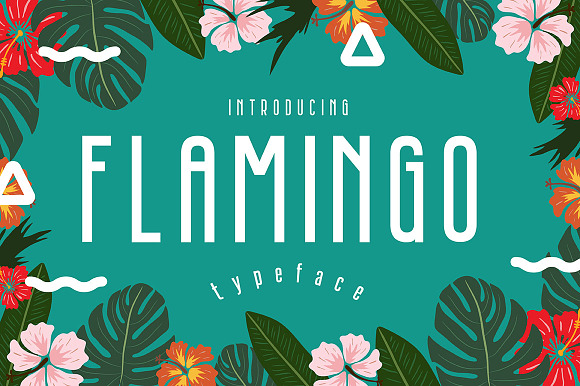 Flamingo preview 8