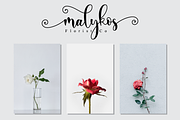 Ayalda Script, a Script Font by Nissa Studio (Thumbnail 4 of 12)