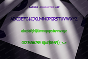 Dasura - Sophisticated Modern, a Serif Font by Astuti Studio (Thumbnail 3 of 25)