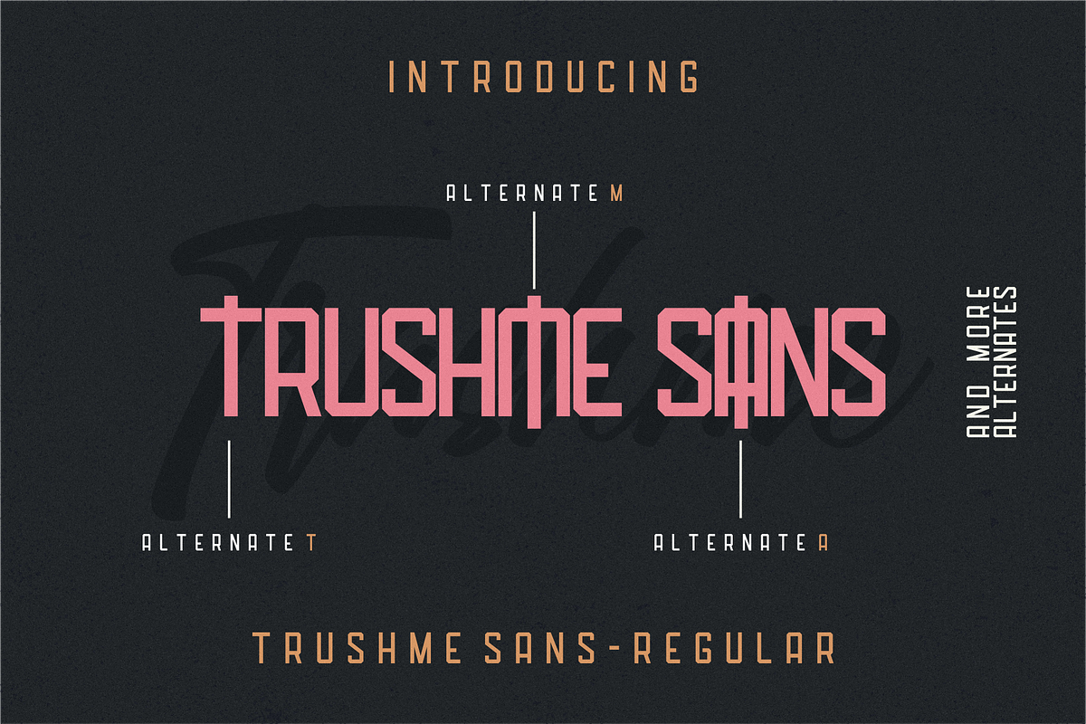 Trushme Font Duo preview 3
