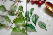 9 FILM presets for lightroom, a Preset Add-On by Trofimova Veronika (Thumbnail 8 of 8)