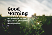 Fox Miravel, a Serif Font by Fox7 By Rattana (Thumbnail 8 of 14)