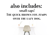 Farewell Angelina Display serif font, a Serif Font by Ana's Fonts (Thumbnail 9 of 9)