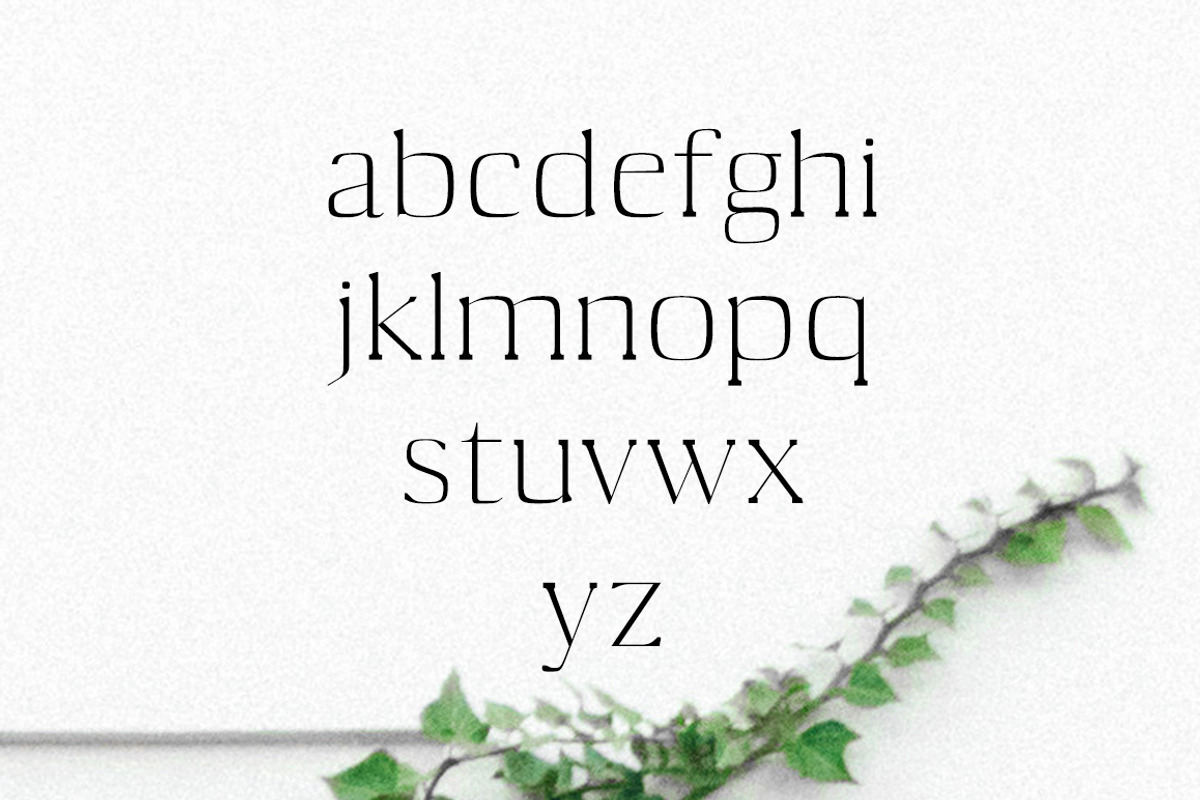 Medric Serif 4 Font Family preview 3
