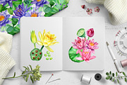 Lotus flowers and koi fish, an Animal Illustration by Hanna Hryharenka (Thumbnail 9 of 13)