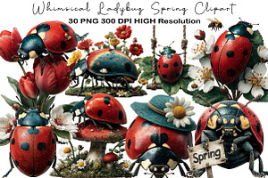 Whimsical Ladybug Spring Clipart, an Illustration by Black Bird Studio