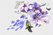 Floral Watercolor Graphic Set, an Illustration by Tamaretto (Thumbnail 3 of 7)