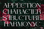 Orcars | Classic Serif Font, a Serif Font by gracetype_studio (Thumbnail 9 of 12)