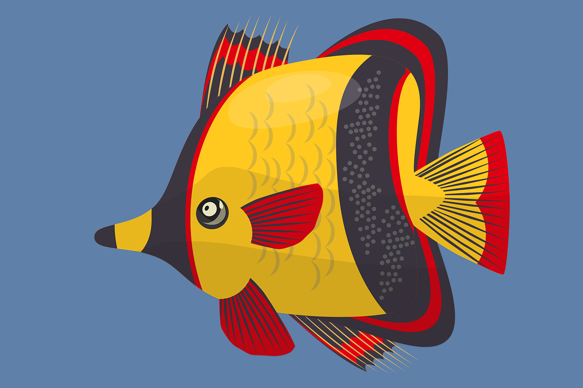 Tropical Fishes Crafts, an Animal Illustration by Dz Akali (Photo 6 of 7)