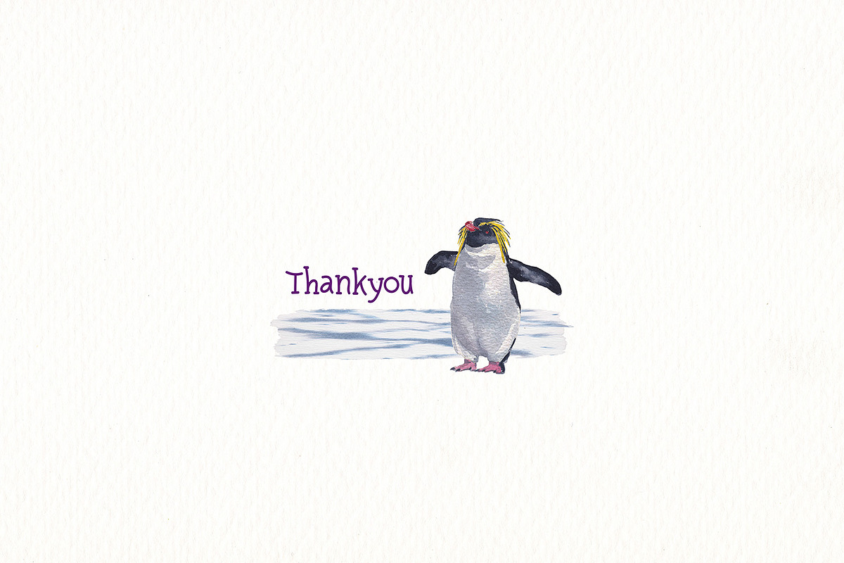 Penguins of de world watercolor set, an Animal Illustration by Art & Things (Photo 5 of 5)