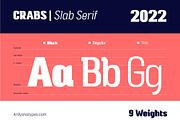 Crabs Slab Serif Font, a Slab Serif Font by Ardyanatypes (Thumbnail 5 of 12)