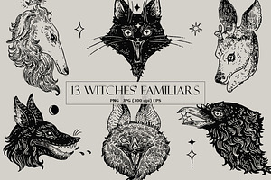 13 Witches' Familiars