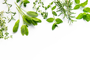 Aromatic fresh cooking herbs creating a white background border, a Food & Drink Photo by Olena Rudo