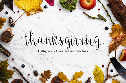 Thanksgiving Calligraphy Overlays