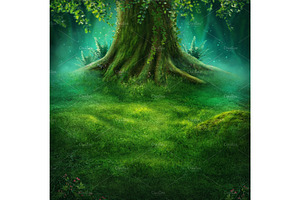 Big Tree In The Magic Forest