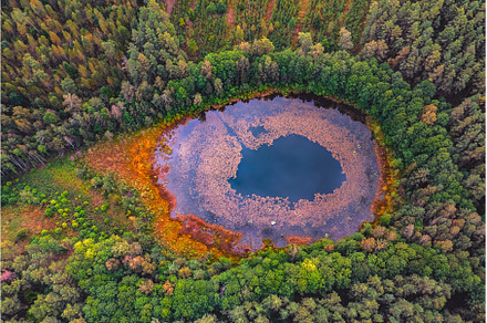 Aerial panoramic view of swamp lake, an Architecture Photo by Lukas Jonaitis SHOP