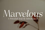 Marvelous, a Serif Font by InkwellTypeCo (Thumbnail 1 of 11)