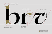Flowsky Editorial, a Serif Font by zeenesia (Thumbnail 5 of 17)