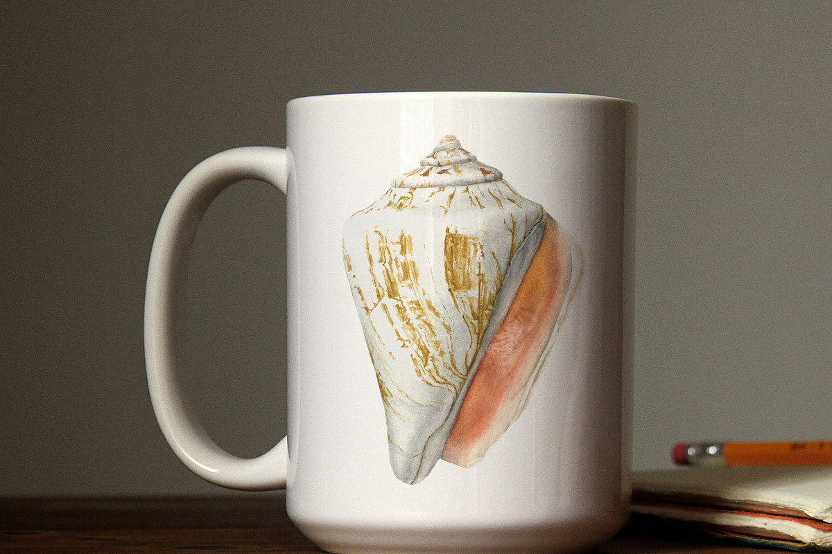 Seashells watercolor illustrations, an Illustration by JulShuman (Photo 8 of 8)