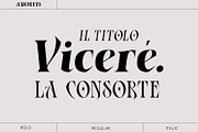 Amorvis, a Serif Font by Naksatra (Thumbnail 10 of 13)