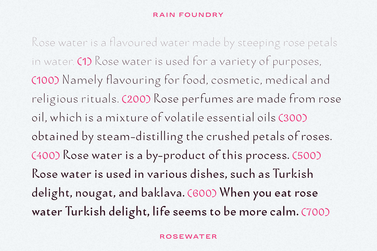 Rosewater (Variable), a Sans Serif Font by Rain Foundry (Photo 4 of 10)