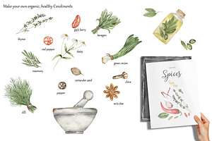 Watercolor Herbs And Spices