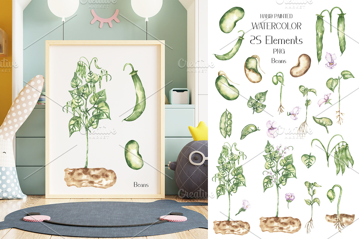 Life Cycle Watercolor Collection, an Education Illustration by MayaNavits (Photo 4 of 12)