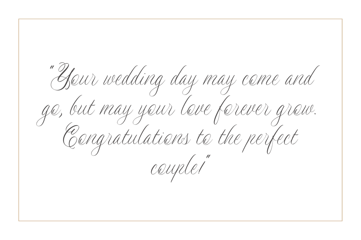 Newly Bridal - A Wedding Font, a Script Font by a Piece of Cake (Photo 5 of 12)