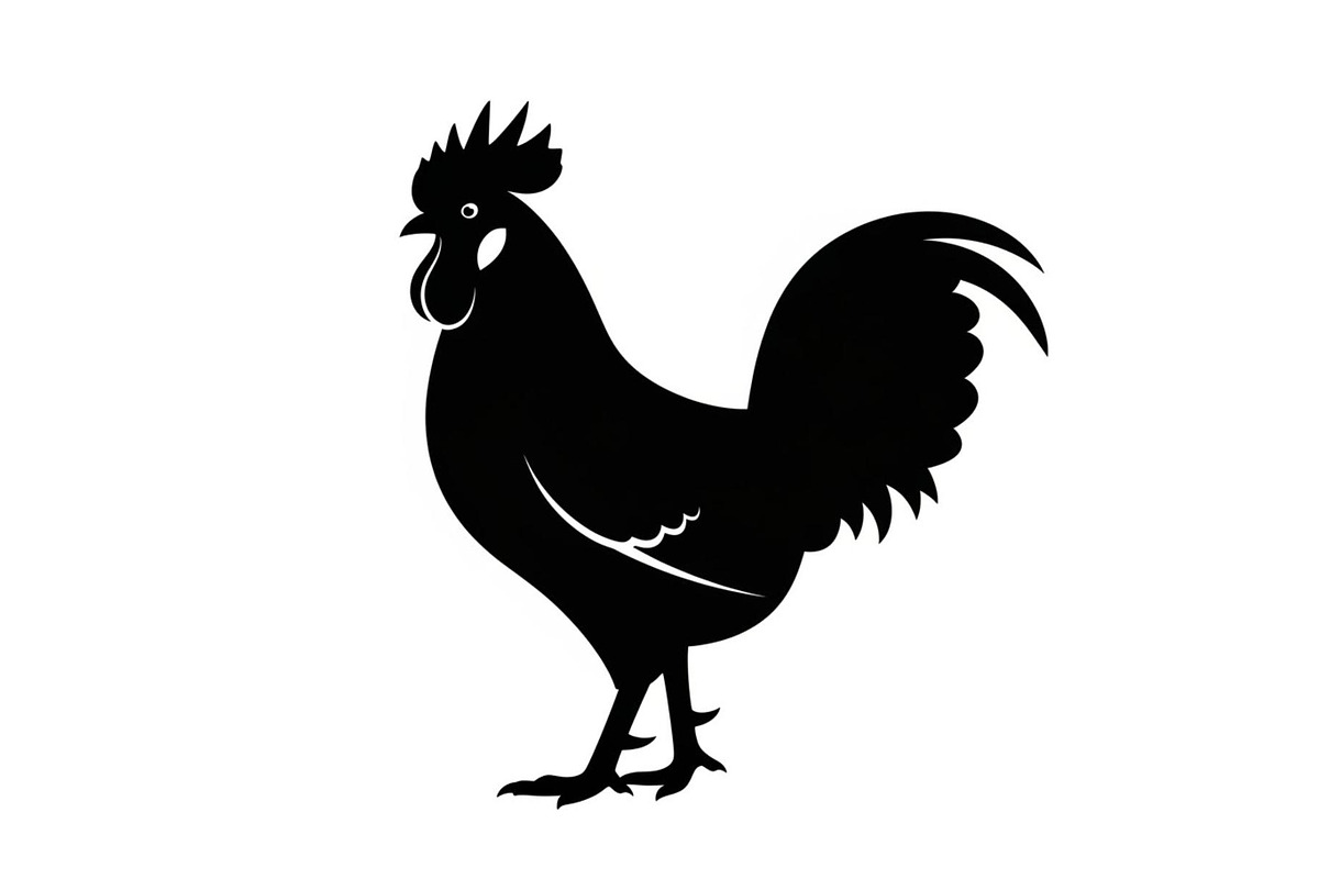 Rooster Chicken Silhouette Bundle, an Illustration by Designs_River (Photo 29 of 51)