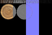 Wood Log Slice, an Environmental 3D Model by 3D_PikNik (Thumbnail 14 of 15)