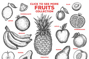 Fruits Illustrations, an Illustration by PicByKate (Thumbnail 2 of 6)