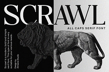 Scrawl - All caps serif font