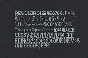Grisha Font, a Slab Serif Font by Grontype (Thumbnail 10 of 10)
